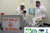 mold remediation West Palm Beach