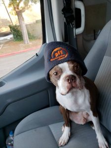 911-restoration-dog-hat