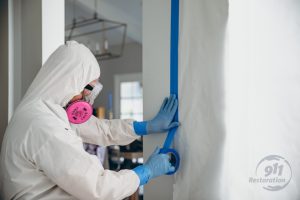 Mold Damage Restoration Wellington